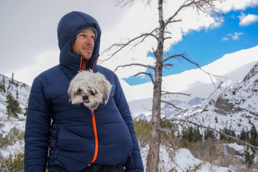 patagonia hyper puff hoody - this small, wet dog had no effect on the loft of the hyper puff! in...