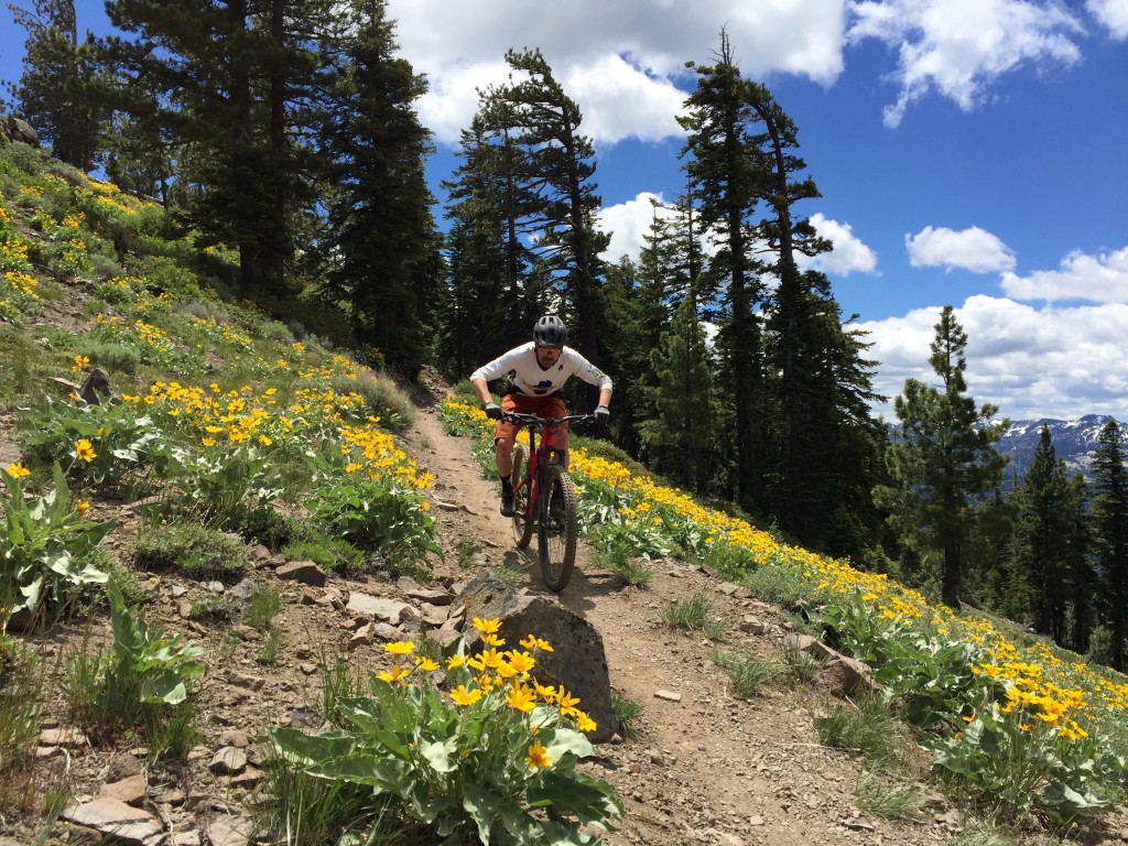 five ten kestrel lace - the beefiness of the kestrel lace adds confidence when descending.
