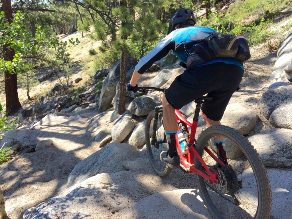 giro chamber ii - they aren't the lightest shoes out there, but if you're a gravity...