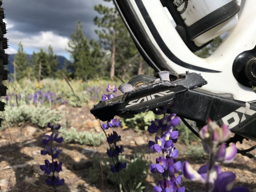 shimano saint spd m820 - fat skis, wide bars, big rims, giant pedals? i think so..