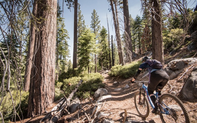 pivot switchblade aluminum race xt - standing or seated, the dw-link suspension remains calm and efficient.