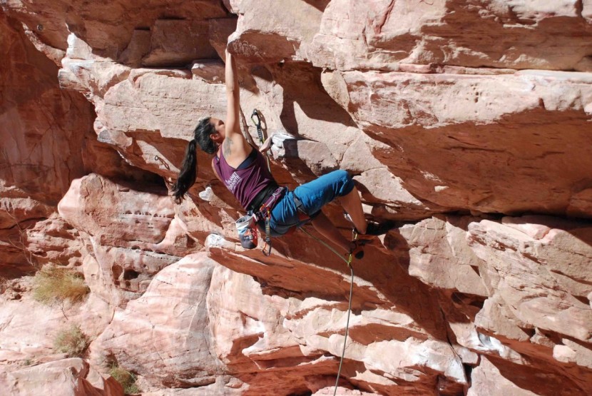 black diamond technician for women - if you love the thin, minimally padded harnesses but want one with...