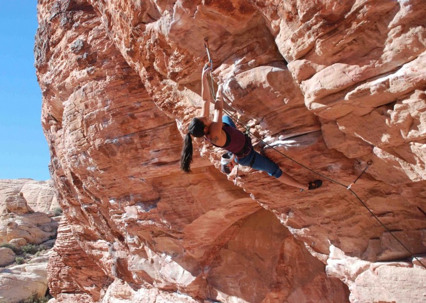 black diamond technician for women - this harness is lightweight and has a slim profile, so you won't...