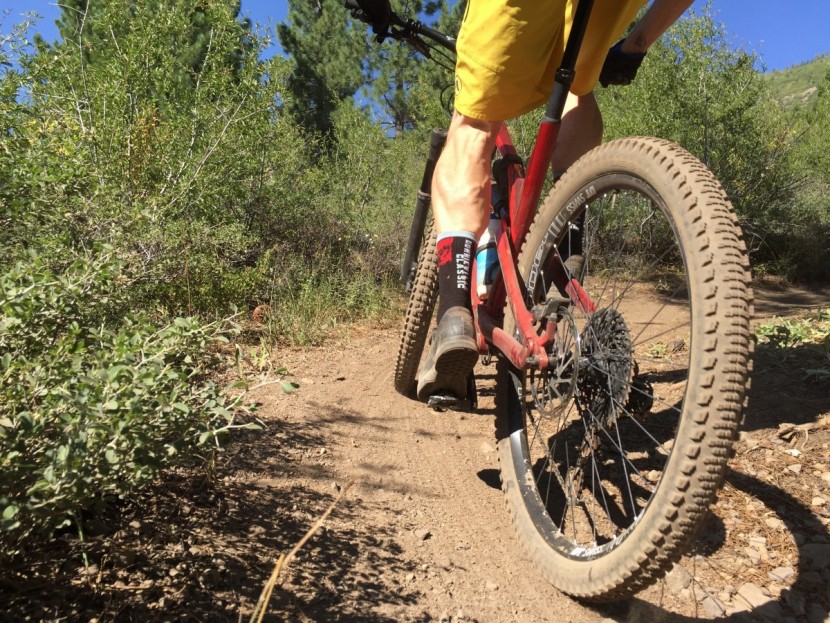 specialized butcher grid - we rode with a butcher up front and slaughter in the rear as you see...