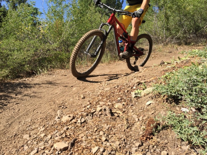 specialized slaughter grid