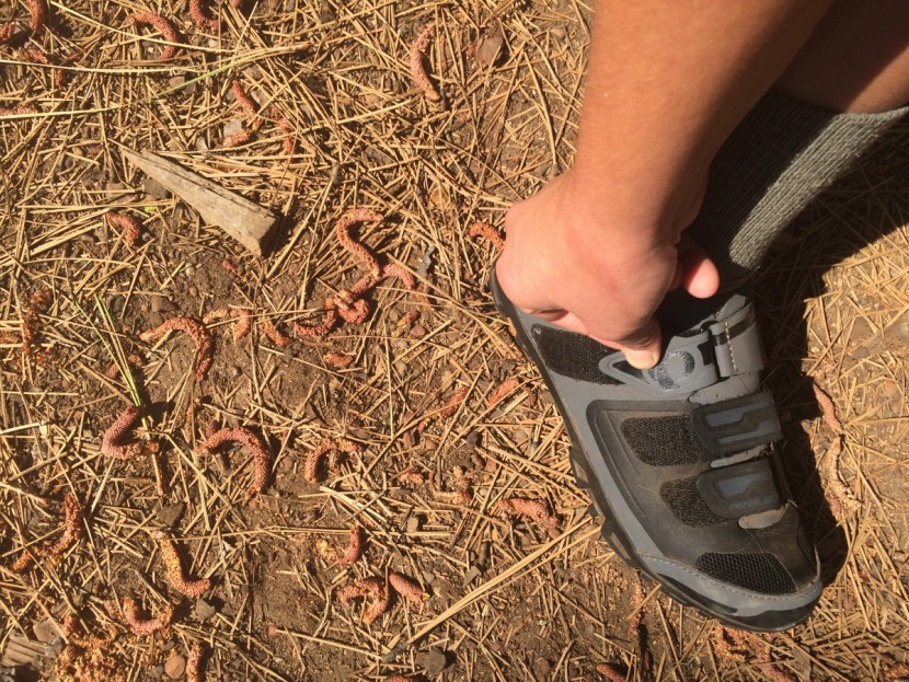 pearl izumi all-road v4 for women - the velcro closures featured a strap that wasn&rsquo;t long enough to...