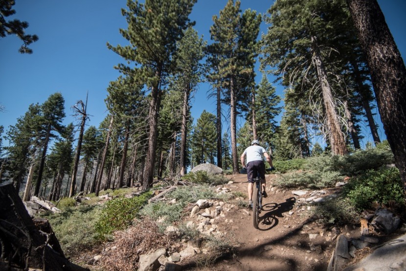 pivot trail 429 race xt