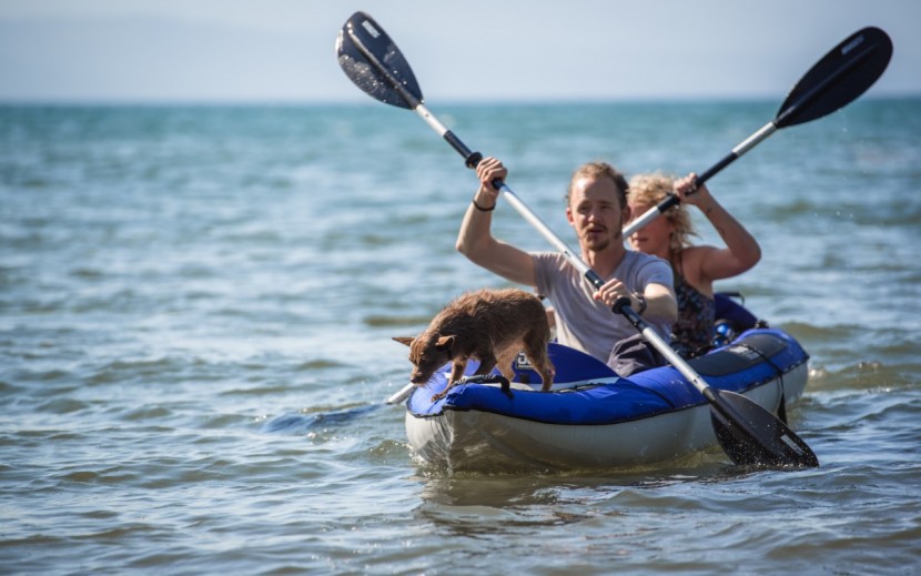 aquaglide columbia xp tandem xl - big dogs, little dogs, the aquaglide handled them all in stride!