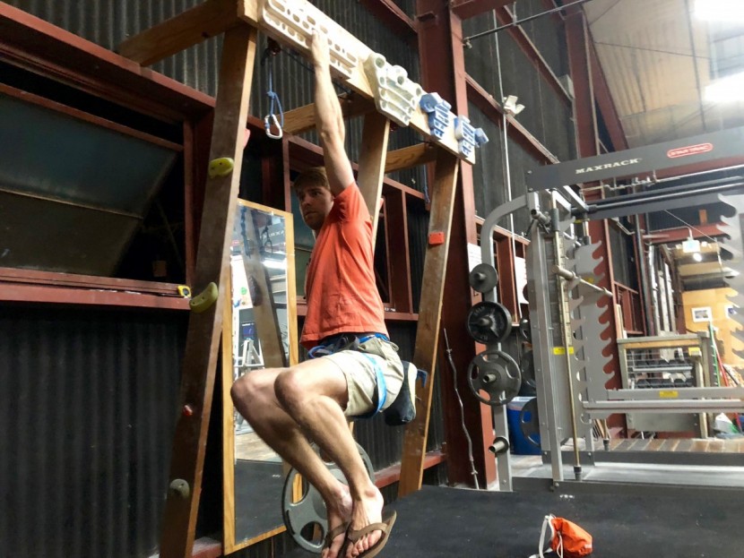 beastmaker 2000 - this board is best for pretty advanced climbers. it can work for...