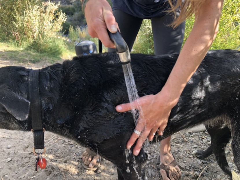 camping shower - testing camping showers resulted in some of the cleanest dogs in the...