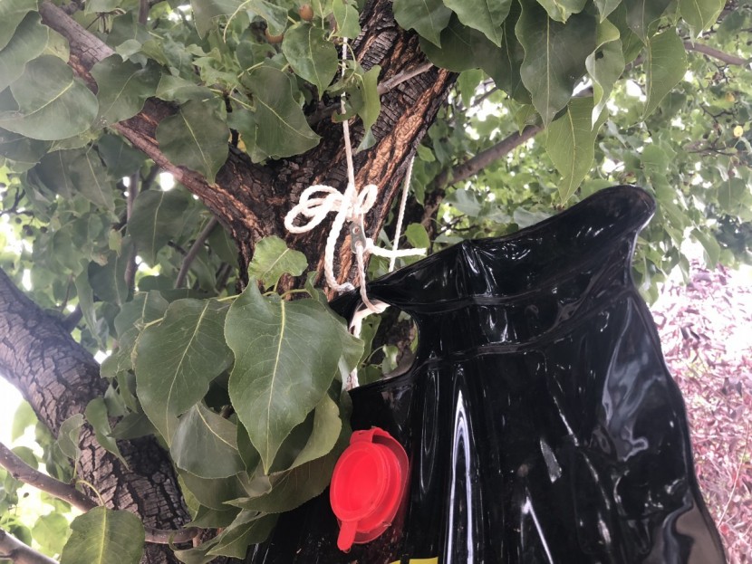 coghlan's 5-gallon - hanging this shower from its spindly little rope in a tree over your...