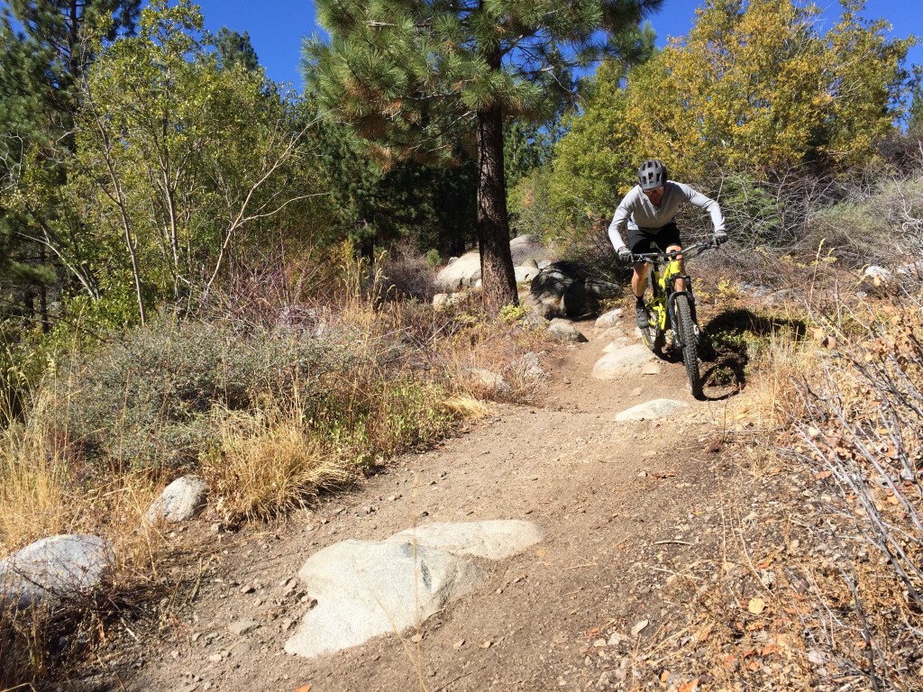 fox racing ranger cargo - we rode in them plenty, and we can confirm that they are well made...