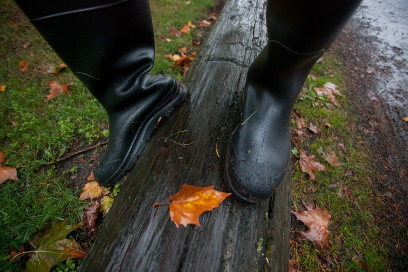 servus ct safety - this wood might have well have been a banana peel for how much we...