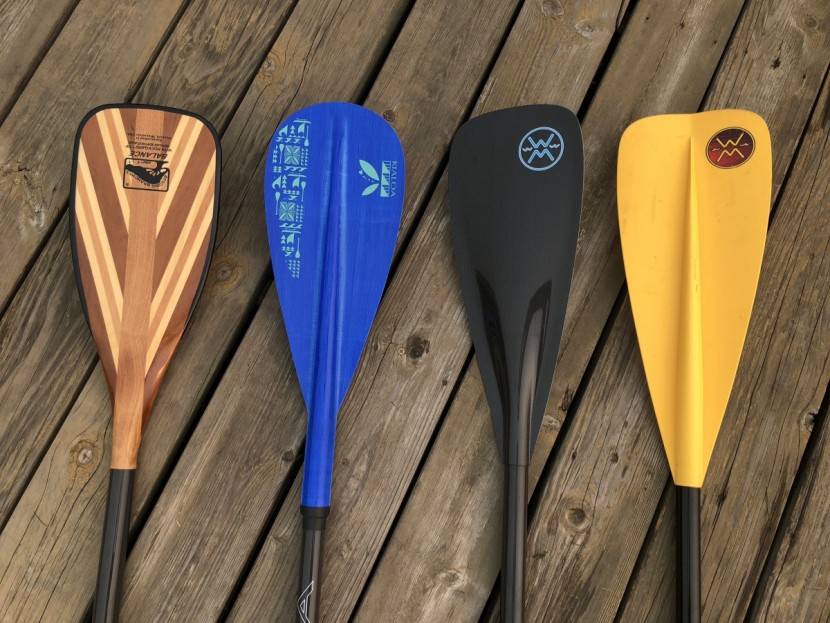 kialoa insanity - the insanity, the blue paddle second from left, is shown here with...