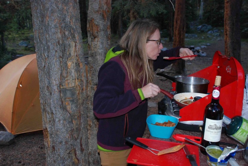 the north face denali 2 jacket for women - this jacket is great for car camping situations where you want a...