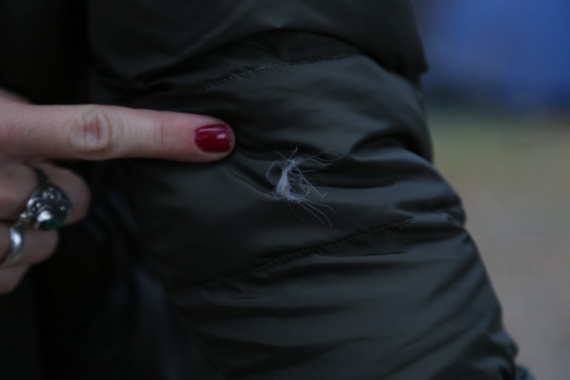 the north face gotham jacket ii for women - we experienced some feathers escaping at the seams, but it wasn't...