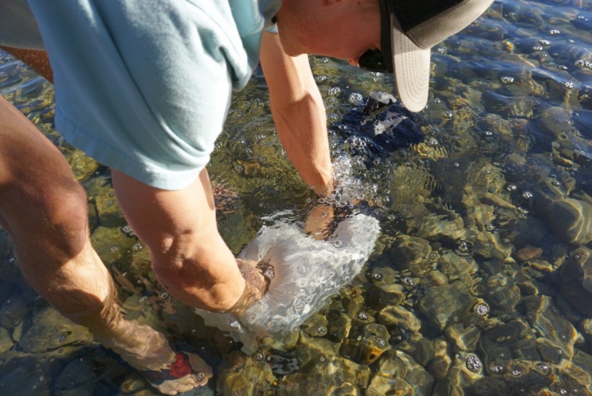 sea to summit event compression - the event is a nifty piece of technology that allows this model to...