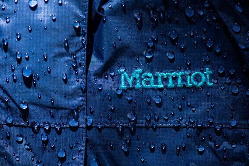 gregory octal 55 for women