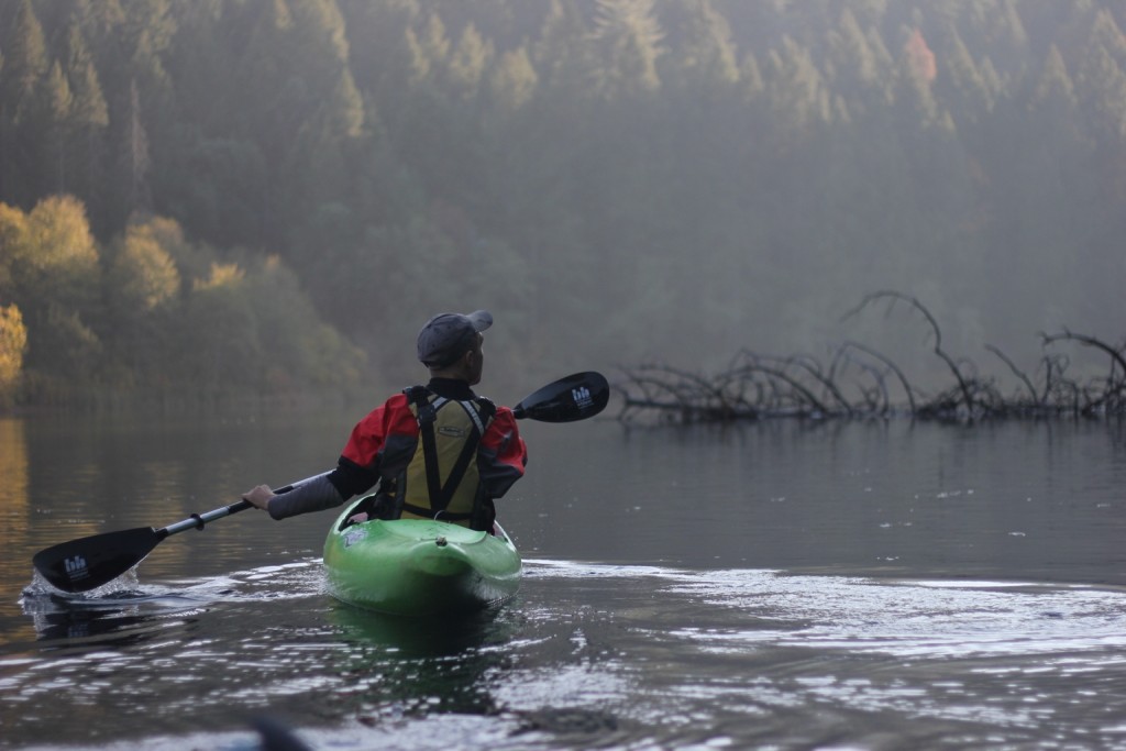 bending branches whisper - fisherman and bird watchers looking to expand their hobby further by...