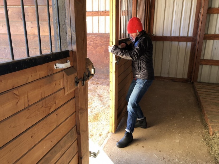 blundstone thermal for women - the blundstone boot is great for winter chores but isn't the warmest...