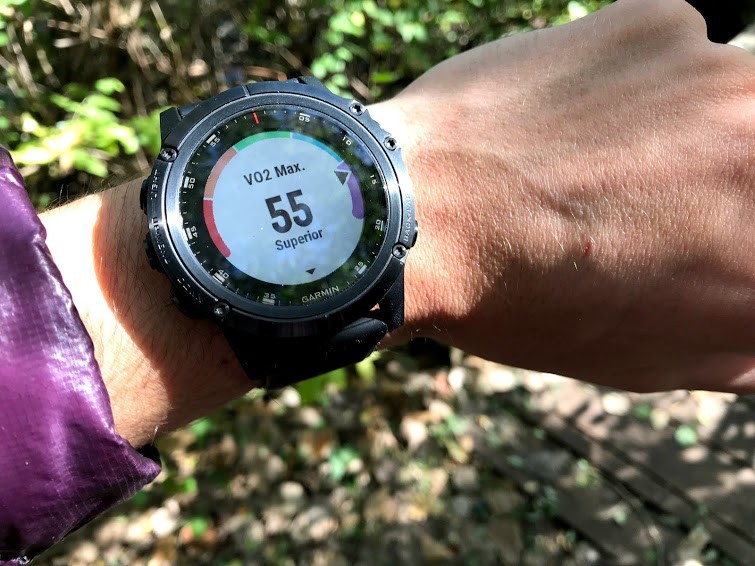 garmin fenix 5x plus sapphire - the vo2 max reading, based on input from fitness tracking.