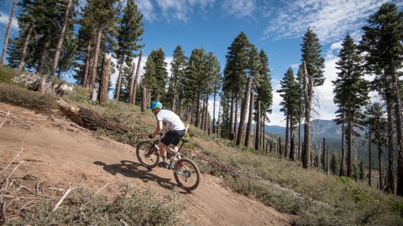 giant trance 3 - giant's maestro suspension design results in a good pedaling...