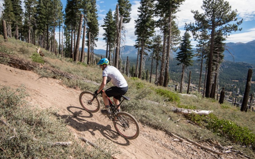 intense spider foundation - it feels very efficient, but some testers felt cramped on the...