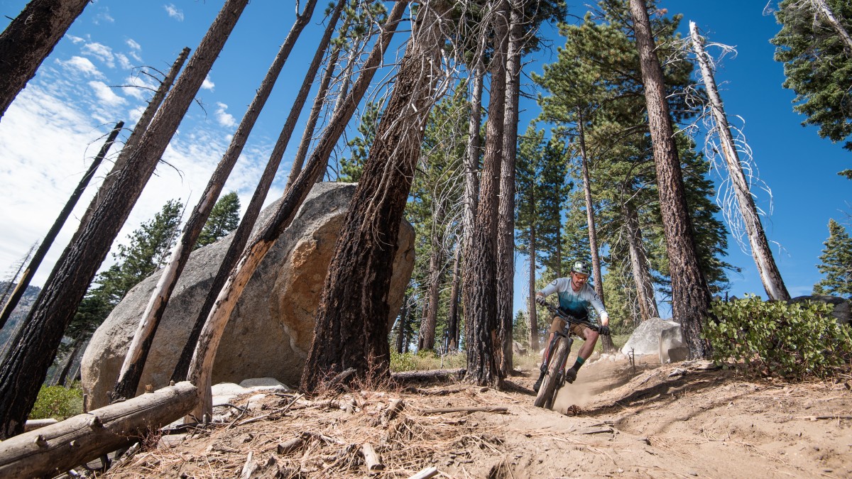 Intense Spider Foundation Review (The on-trail performance of the Spider Alloy is a bit of a mixed bag, good at low and moderate speeds, nervous and...)