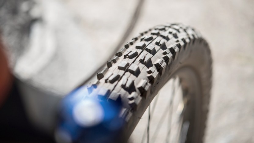 a minion dhf up front is always a good call.