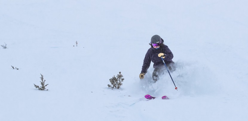 black crows camox birdie - the camox birdie is a perfect tool for a park-oriented skier to take...