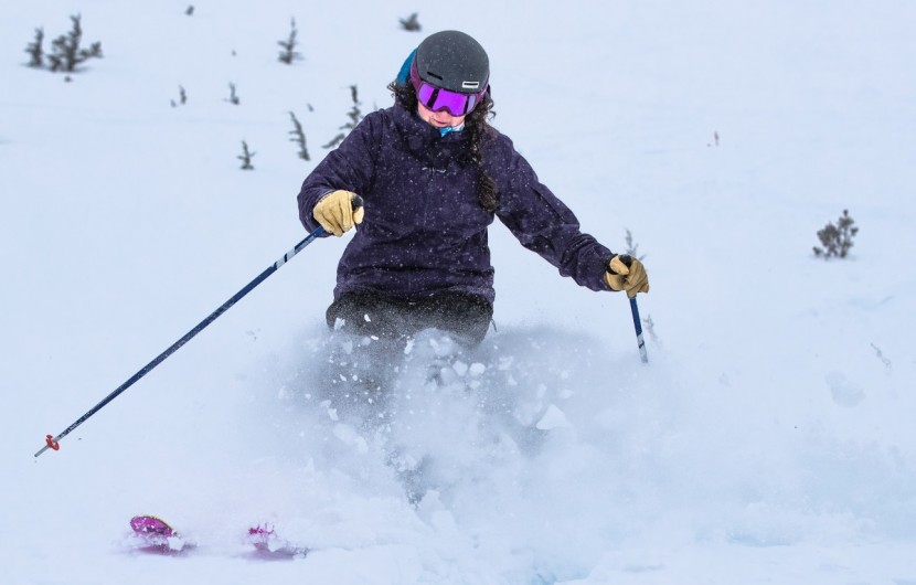 black crows camox birdie - the camox birdie soars above the powder, and this is where it is...