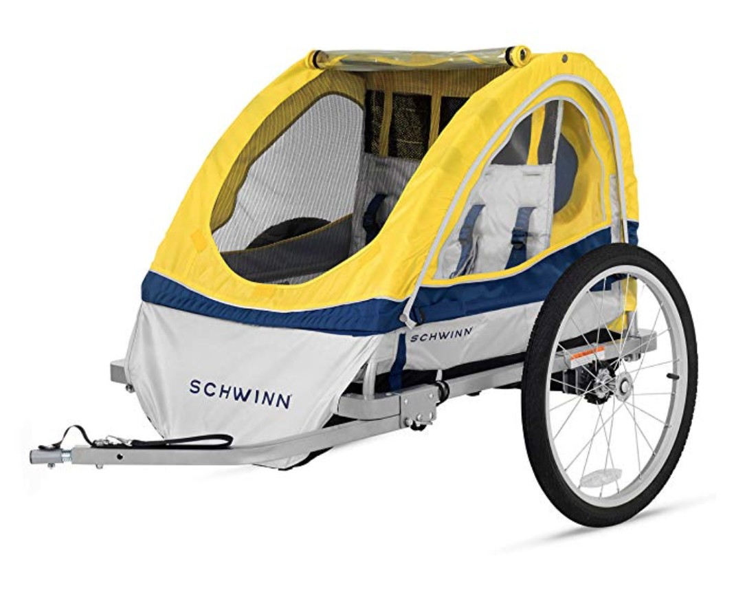 Schwinn Echo Review