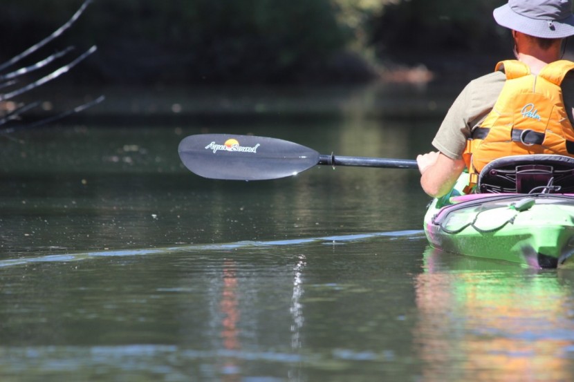 aqua-bound sting ray carbon - the performance of this paddle pleasantly surprised the testers.
