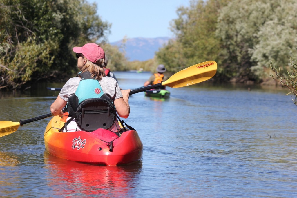 werner skagit fg - the dihedral blade design helps to reduce flutter in this paddle.