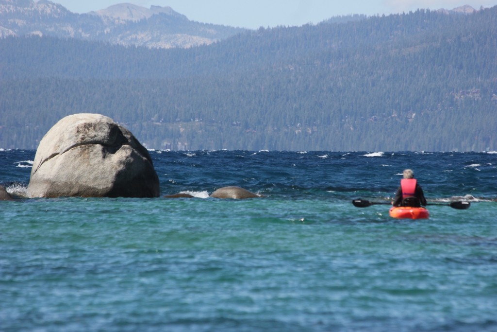 seasense x-treme ii - this is not a high-performance paddle and may limit those wanting to...