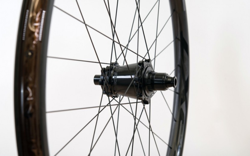 raceface next r31 carbon wheelset - the oversized vault hubs are pretty darn cool looking.