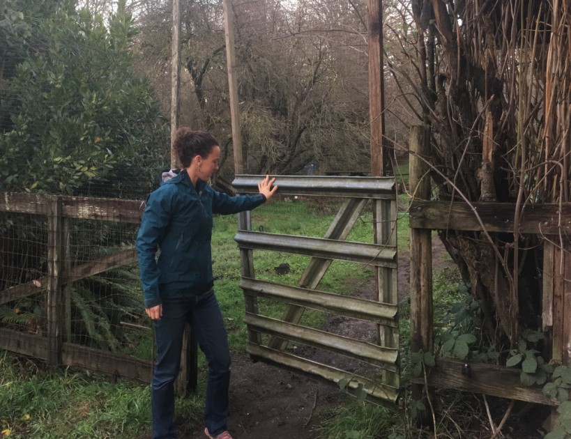 rei co-op drypoint gtx for women - the drypoint gtx from rei was comfortable and versatile, and a great...