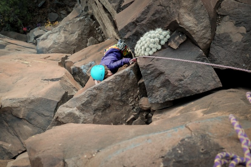 climbing harness kids - while not many kids lead trad, there are plenty who follow, and...
