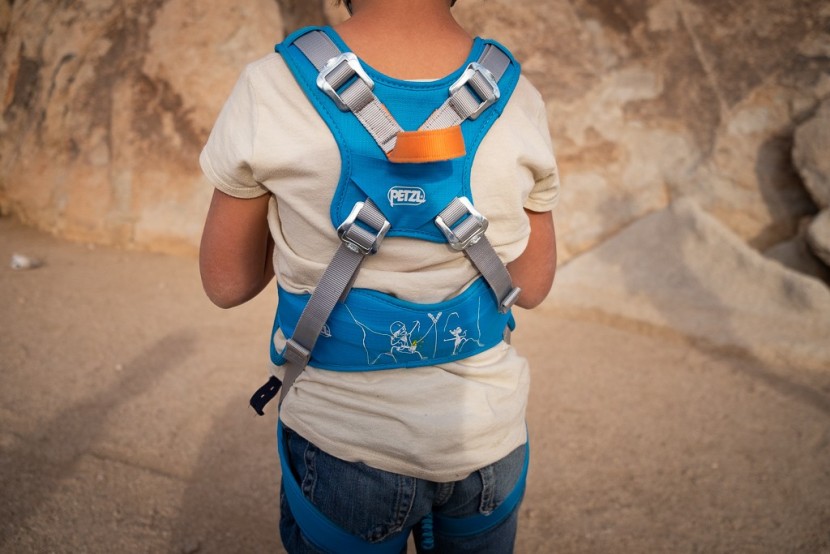 petzl ouistiti - rear buckles keep idle fingers at bay.