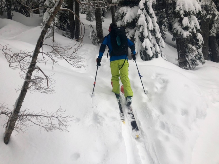 black diamond jetforce tour 26l - our entire review team loved this model's streamlined design...