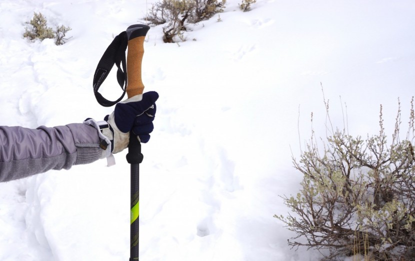 cascade mountain tech carbon fiber quick lock - cascade pole shaft and grip, showing the foam lower extension grip...