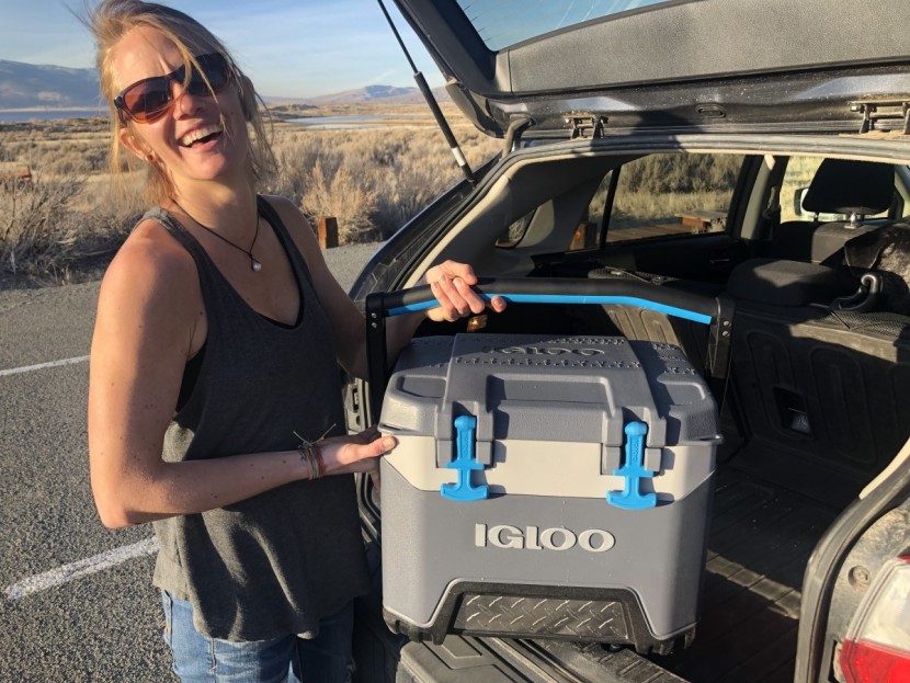 igloo bmx 25 - the bmx 25 is a highly portable personal-sized cooler that's...