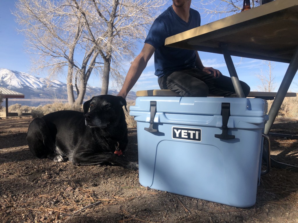 yeti roadie 20 - just enough for two people, a dog, and a sunny afternoon.