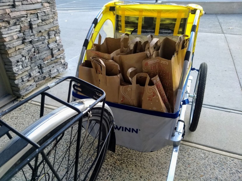schwinn echo - we had no trouble towing a week's worth of groceries in the echo...