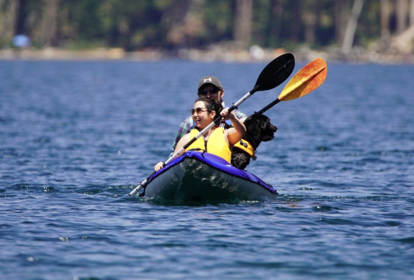 inflatable kayak - two people, two medium-sized dogs, and no problems in a tandem boat...
