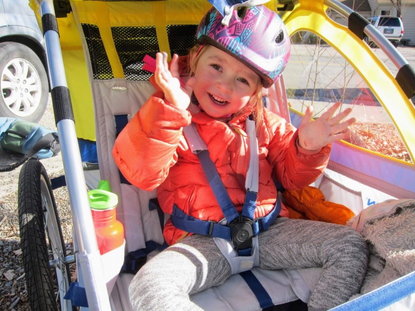 schwinn echo - one passenger can fit comfortably in the schwinn echo, but two kids...