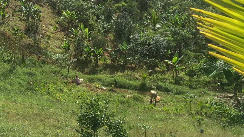 personal locator beacon - you might picture typical backpacking adventures when you think of a...