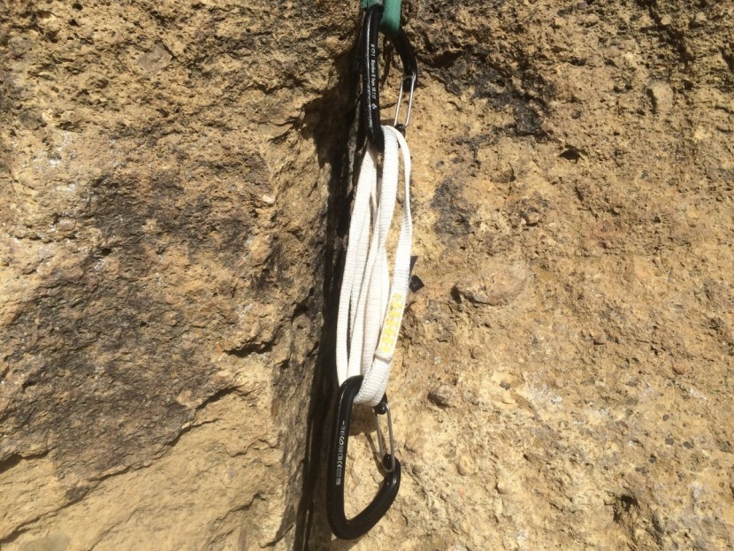 petzl pur'anneau sling - only 10mm wide and with a small bar tack, the petzl pur'anneau is...