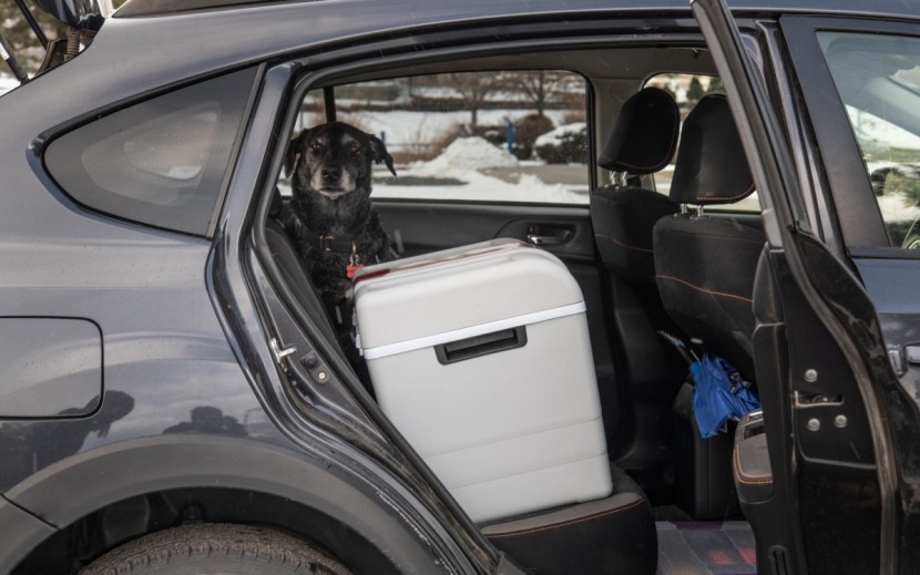powered cooler - simply place a portable thermoelectric cooler in the backseat and...