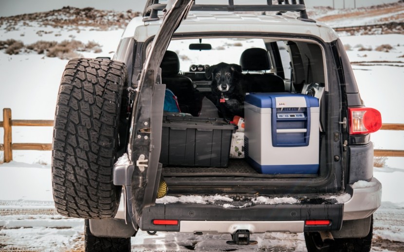 powered cooler - travel anywhere with an energy efficient powered cooler plugged...